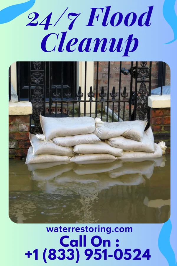24/7 Flood Cleanup in Versailles, MO