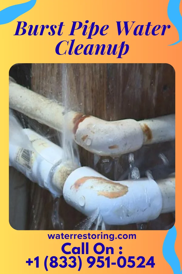 Burst Pipe Water Cleanup in Versailles, MO