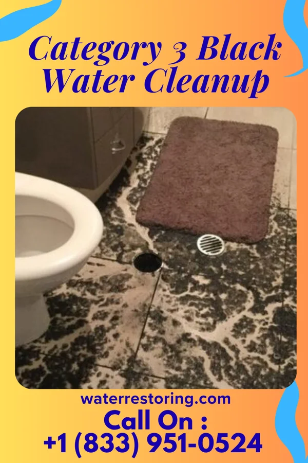 Category 3 Black Water Cleanup in Versailles, MO