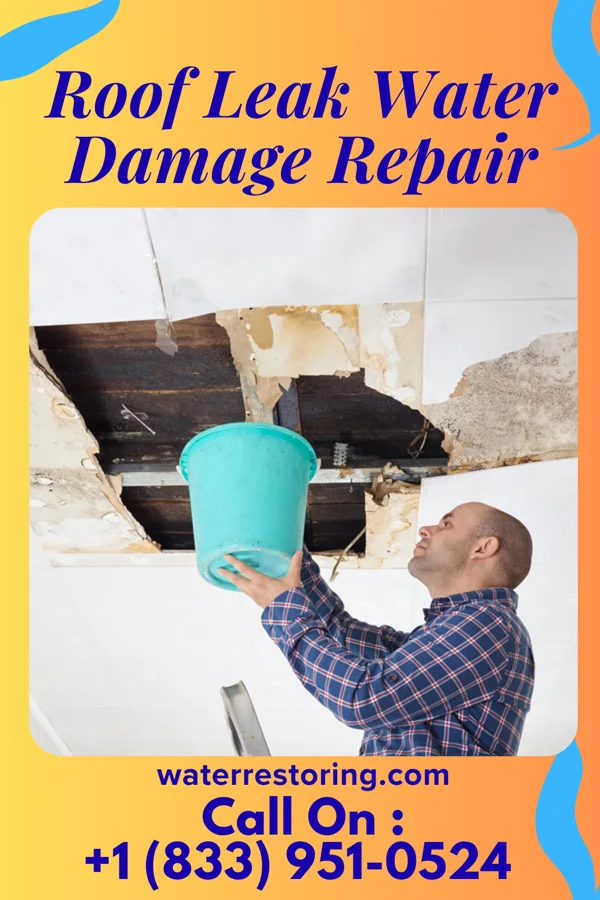 Roof Leak Water Damage Repair in Versailles, MO