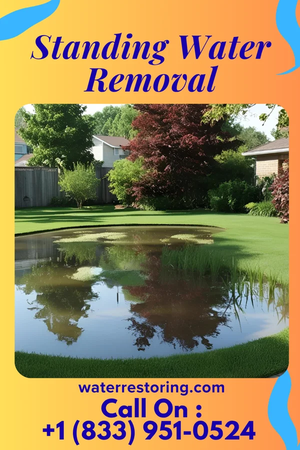 Standing Water Removal in Versailles, MO